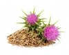 Ostropest plamisty 5 kg - EQUIHERBS 